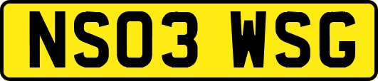 NS03WSG
