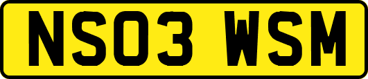 NS03WSM
