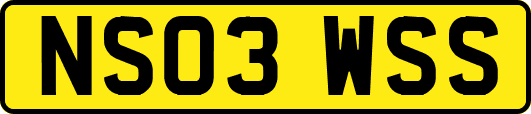 NS03WSS
