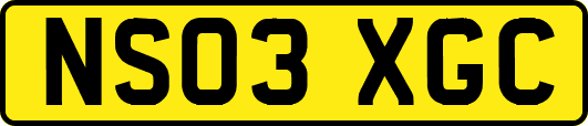 NS03XGC
