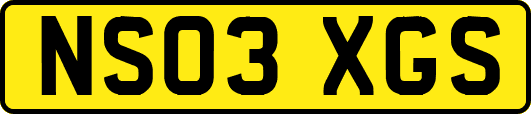 NS03XGS