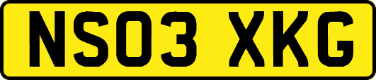 NS03XKG