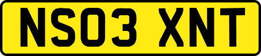 NS03XNT