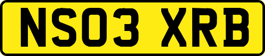 NS03XRB
