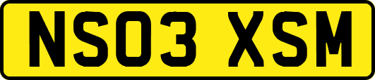 NS03XSM