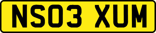 NS03XUM