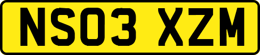 NS03XZM