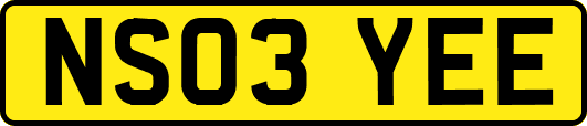 NS03YEE