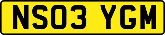 NS03YGM