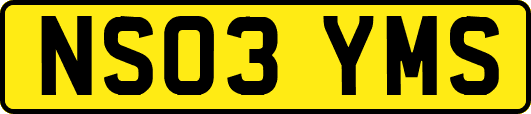 NS03YMS
