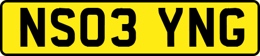 NS03YNG