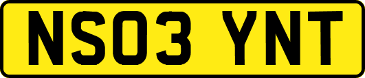 NS03YNT