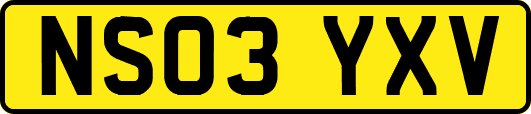 NS03YXV