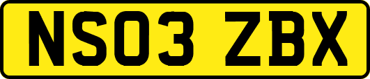 NS03ZBX