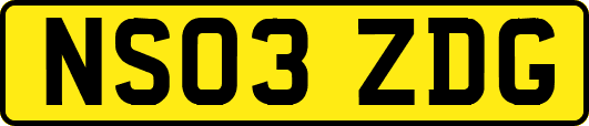 NS03ZDG