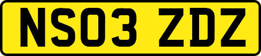 NS03ZDZ