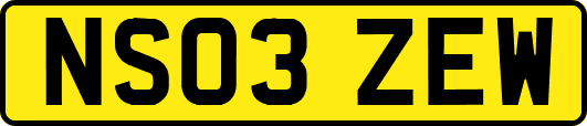 NS03ZEW