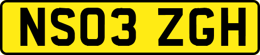 NS03ZGH