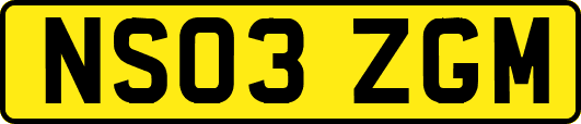 NS03ZGM