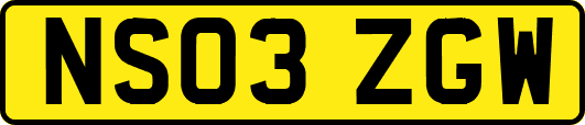 NS03ZGW