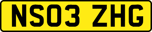 NS03ZHG