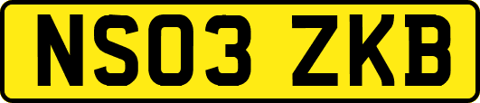 NS03ZKB