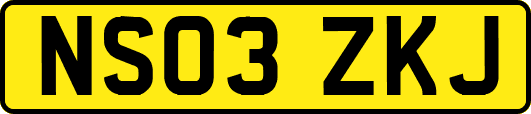 NS03ZKJ