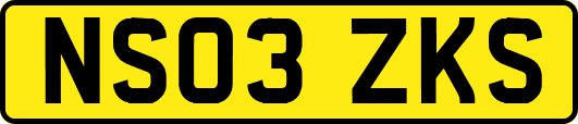 NS03ZKS