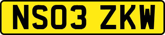 NS03ZKW