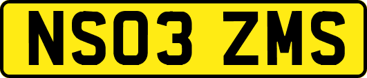 NS03ZMS