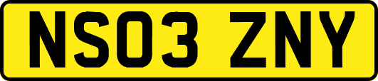NS03ZNY