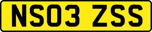 NS03ZSS