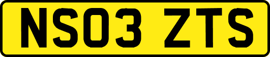 NS03ZTS