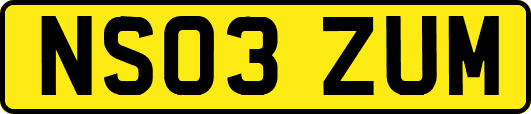NS03ZUM