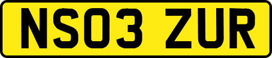 NS03ZUR
