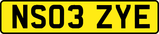 NS03ZYE