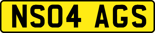 NS04AGS