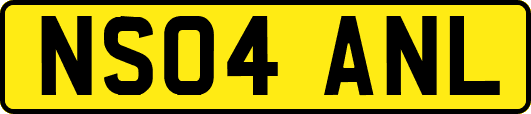NS04ANL