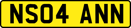 NS04ANN