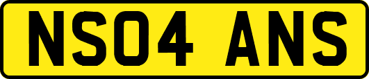 NS04ANS