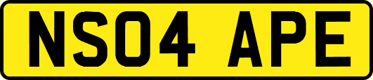 NS04APE