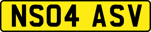 NS04ASV