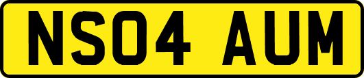 NS04AUM
