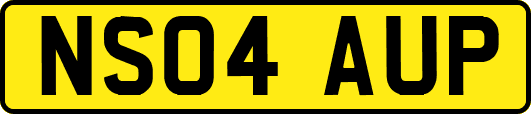 NS04AUP