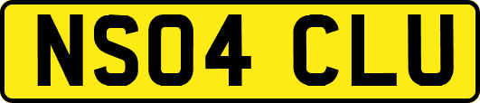 NS04CLU