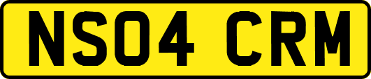 NS04CRM
