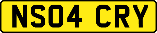 NS04CRY