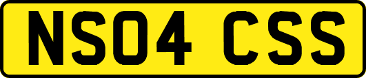 NS04CSS