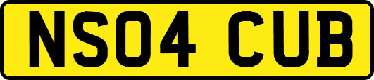 NS04CUB
