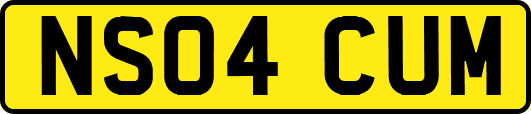 NS04CUM